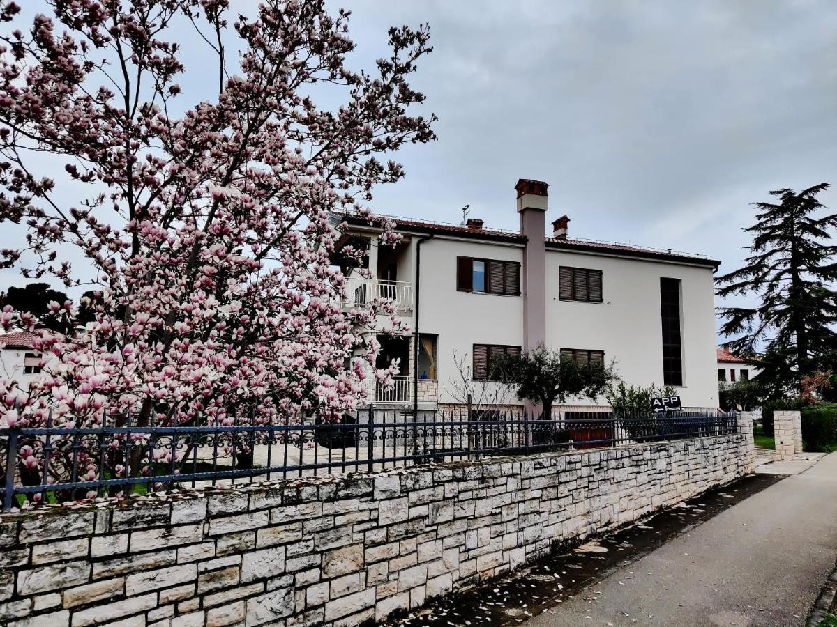 Apartments Vili *